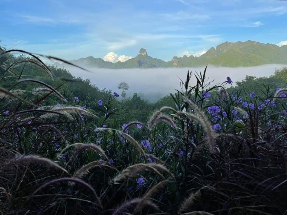 Por Sampao Camp&Resort Ban Pha Saeng Lang المظهر الخارجي الصورة